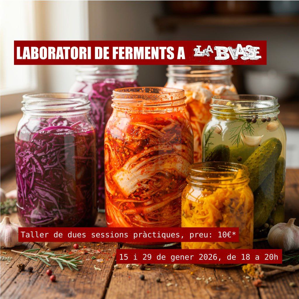 Taller de ferments